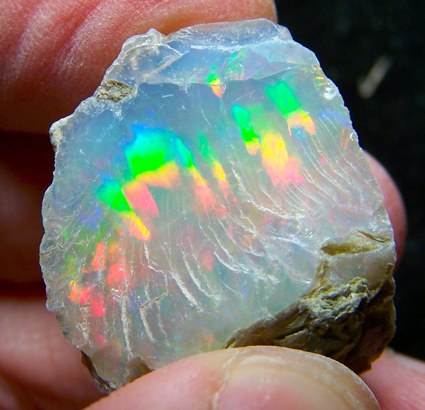 Ethiopian Opal Welo Rough * VIDEO 32.60 CTs AAA FIRE Cutting Grade USA DEALER