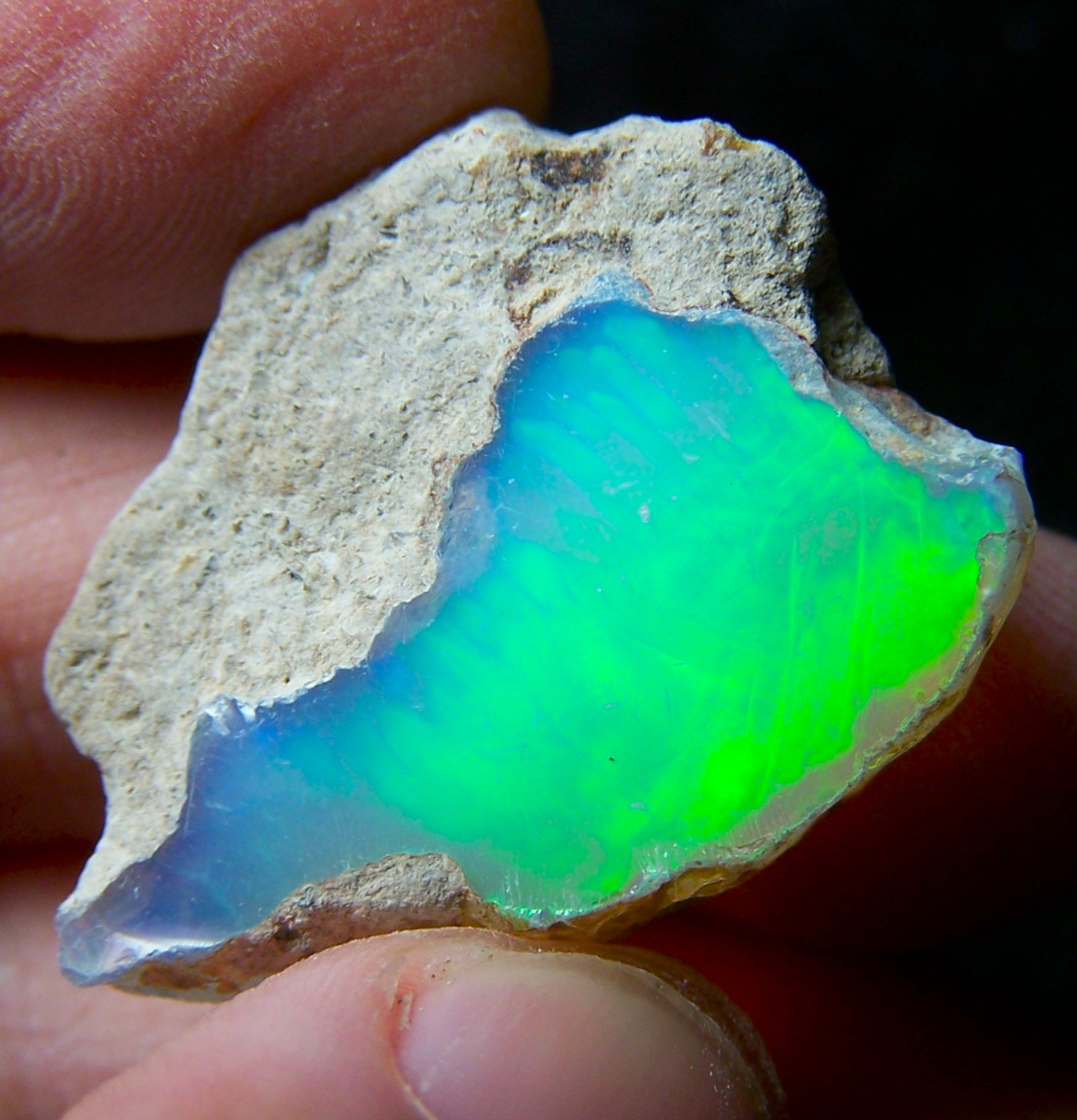 Ethiopian Opal Welo Rough * VIDEO 33.10 CTs AAA FIRE Cutting Grade USA DEALER — photo 1 of 13