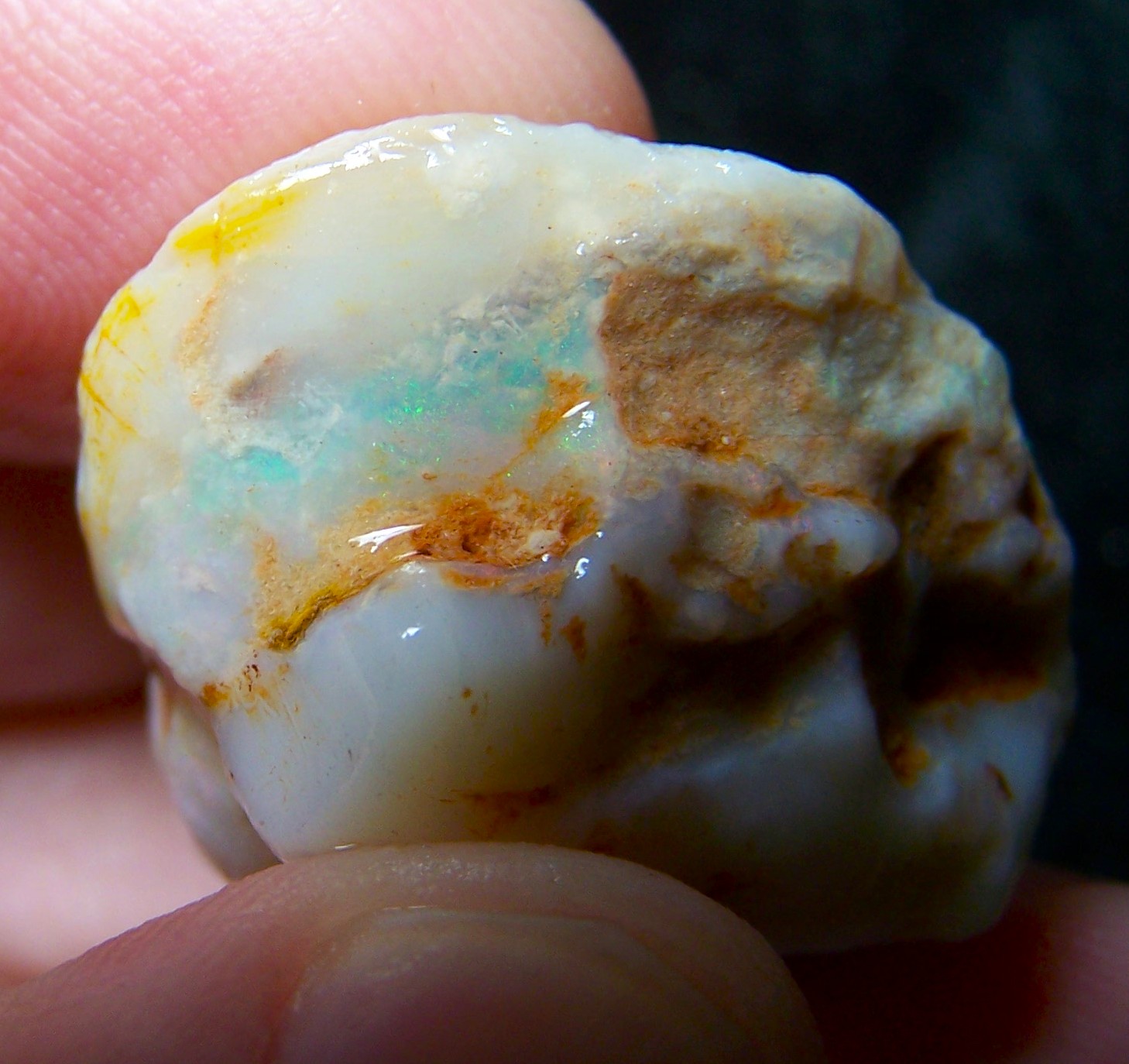 Coober Pedy Australian Fossil shell Rough * VIDEO 47.94 CTs With Color specimen or cutter USA DEALER
