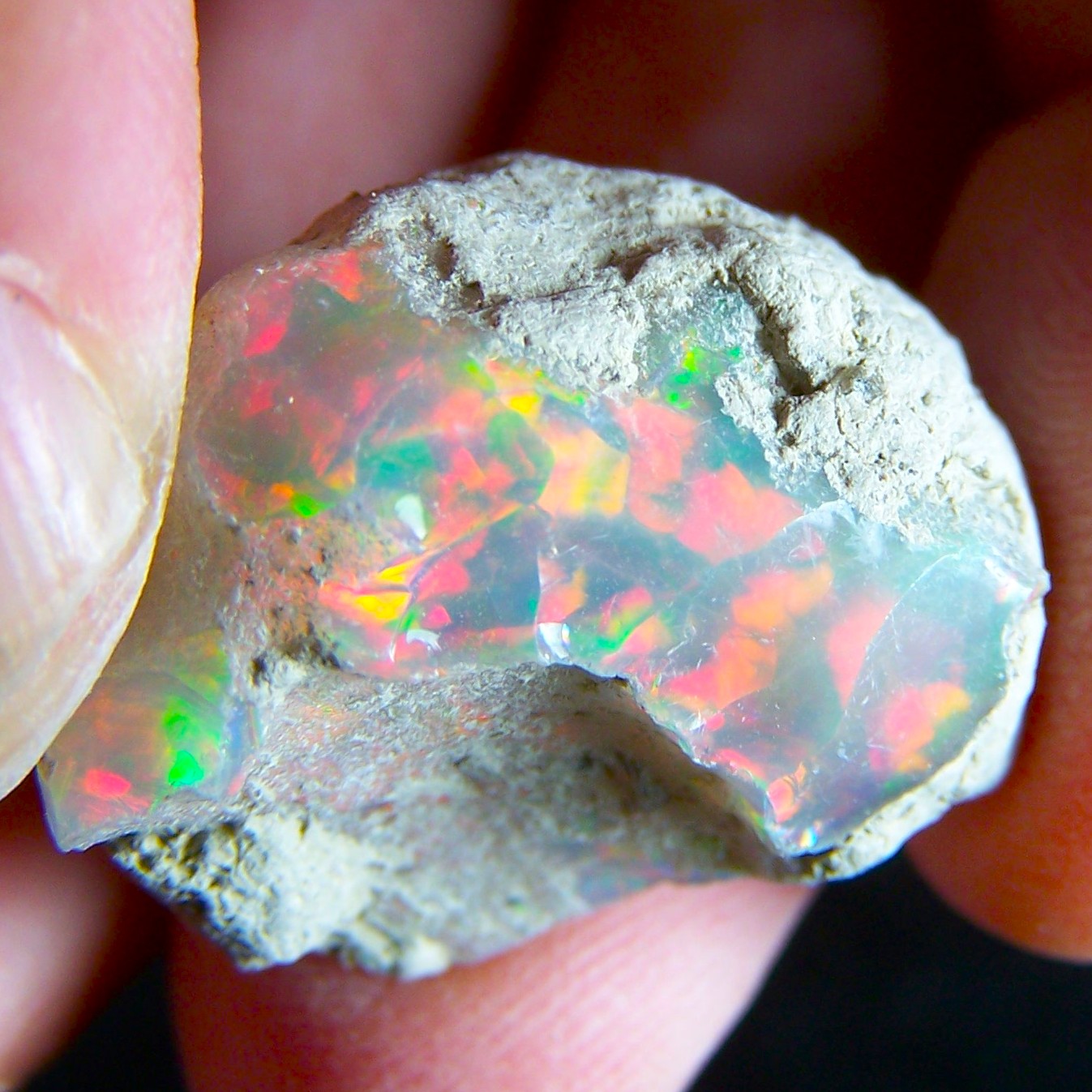 Dark Base Ethiopian Opal Welo Rough * VIDEO 31.89 CTs AAA FIRE Cutting Grade USA DEALER — photo 1 of 13