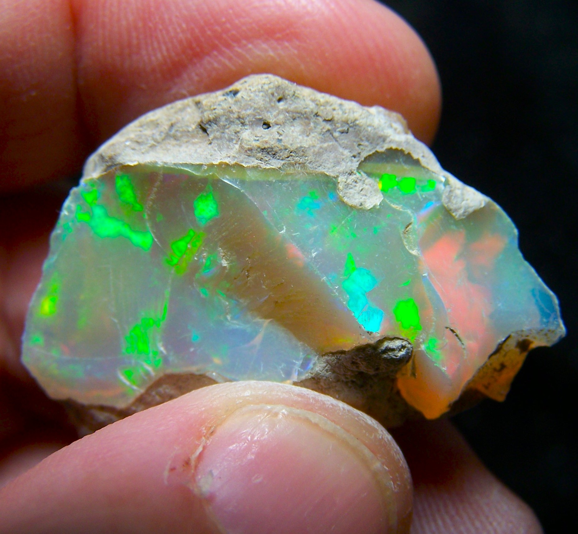 Ethiopian Opal Welo Rough * VIDEO 45.50 CTs AAA FIRE Cutting Grade USA DEALER
